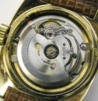 Eterna_1541 jpg